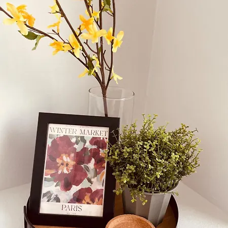 Contemporary And Welcoming Place *